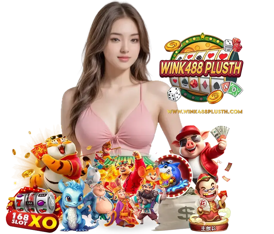 WINK488PLUS